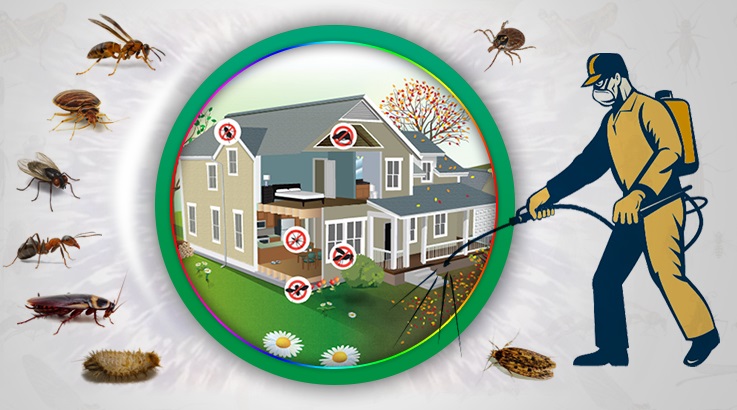 Perşembe Böcek İlaçlama